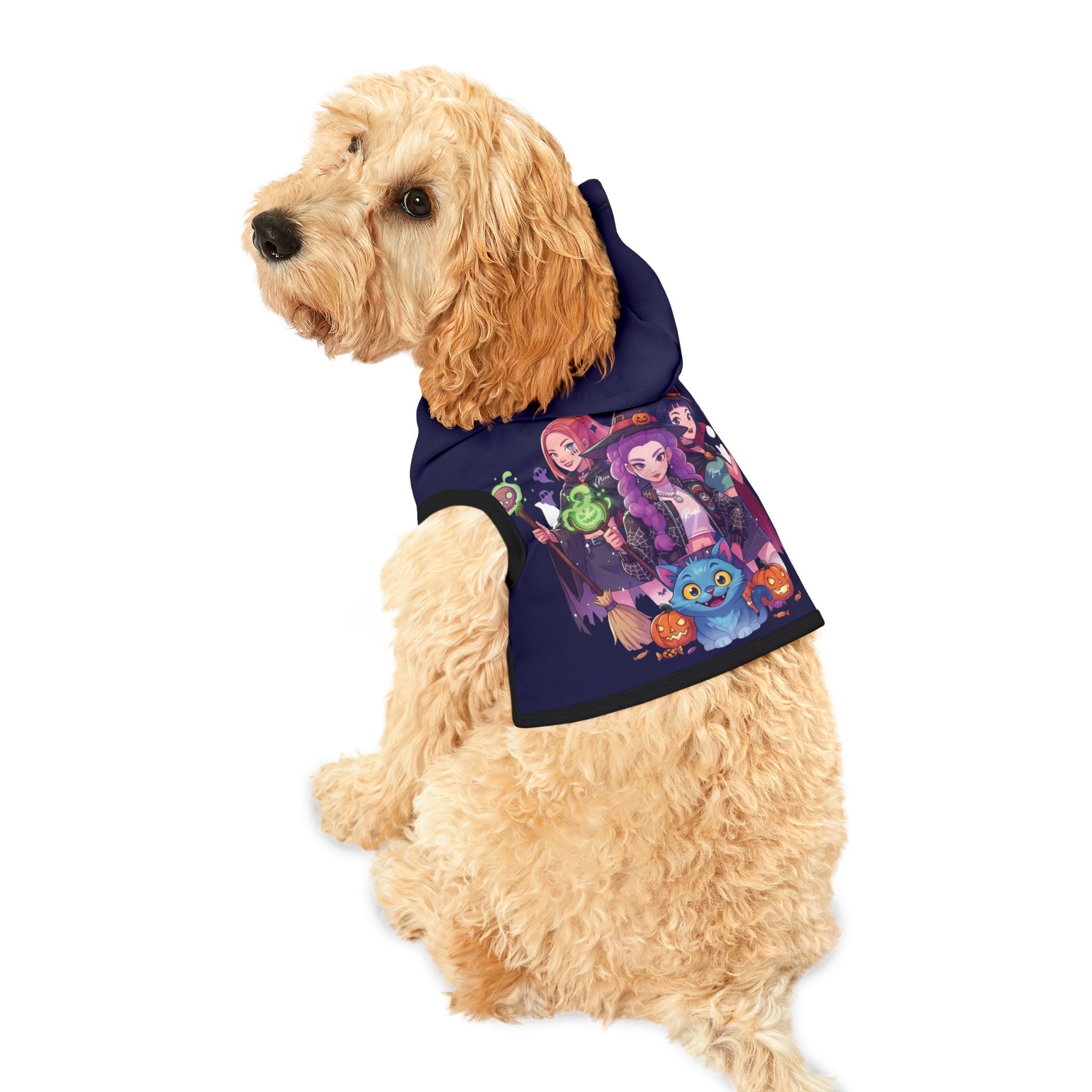 Halloween Huntrix Kpop Demon Hunter Pet Hoodie- Fun Pet Fashion, Trick or Treat Outfit